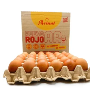 Huevo AA Rojo Avinal X 30 UND